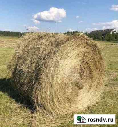 Сено в рулонах Муромцево