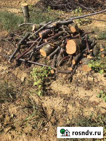 Продам дрова Черешни Чистенькая - изображение 1