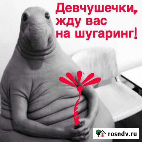 Женская/мужская депиляция Североморск - изображение 1