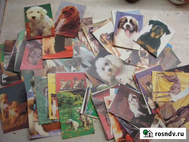 Календарики собаки щенки Волосово - изображение 1