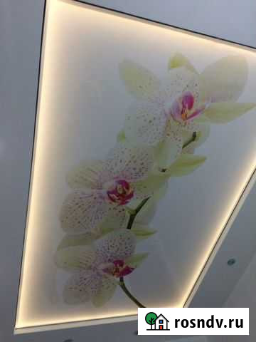 Натяжные потолки Мурино - изображение 1