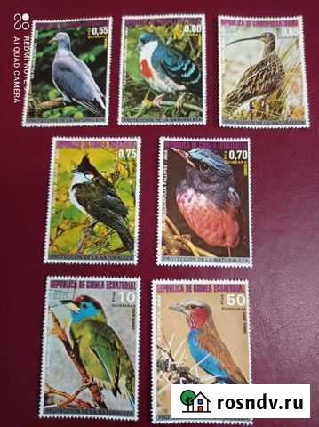Гвинея. Фауна. Птицы Африки. Серия 7 марок Белгород - изображение 1