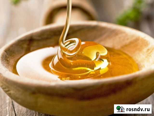 Мед с собственной пасеки Выкса - изображение 1