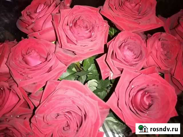 Уборка квартиры генеральная Нальчик - изображение 1