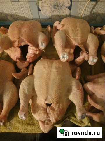 Мясо Клинцы - изображение 1