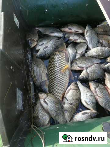 Кvплю лодочный мотор от 5 сил Братск - изображение 1