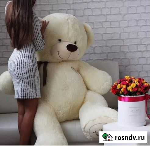 Плюшевый медведь Псков - изображение 1