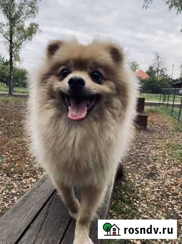 Ретушь фотографий Тула - изображение 1