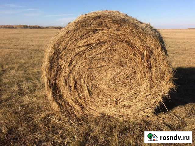 Сено в рулонах Петрокаменское - изображение 1