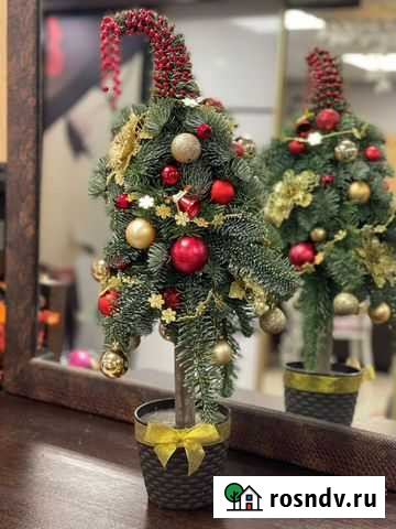 Ель декоративная Краснодар - изображение 1