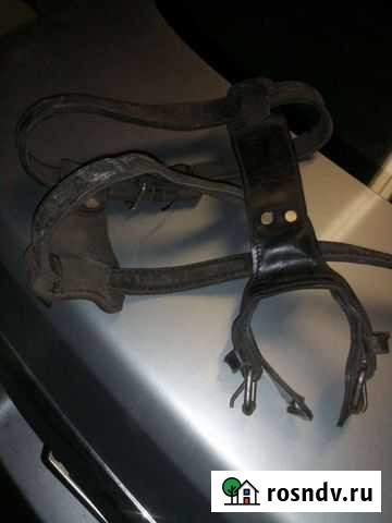 Шлейка для собаки Зея - изображение 1