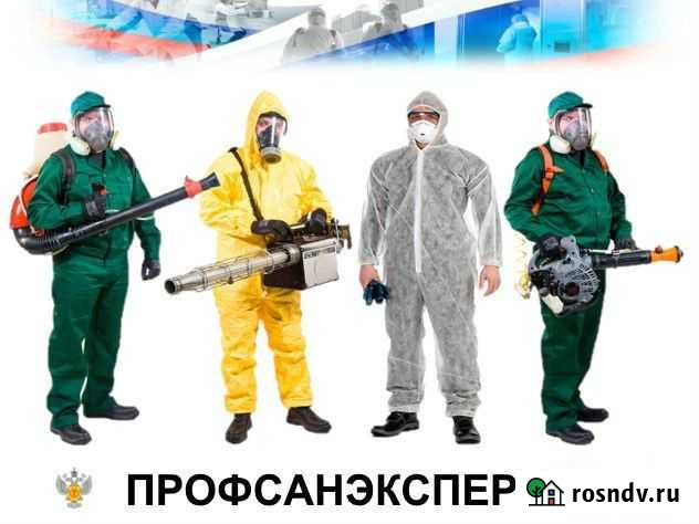 Уничтожение насекомых и грызунов Иваново - изображение 1