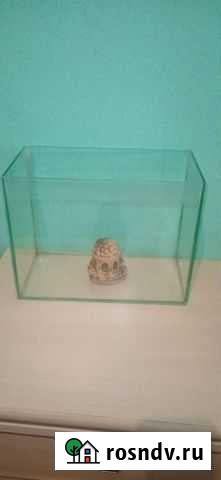 Аквариум Чита - изображение 1