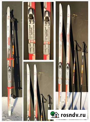 Беговые лыжи 150см Ижевск - изображение 1