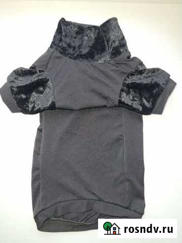 Водолазка на сфинкса Таганрог - изображение 1