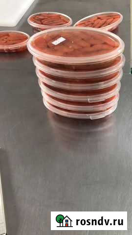 Рыба в масле Домодедово - изображение 1