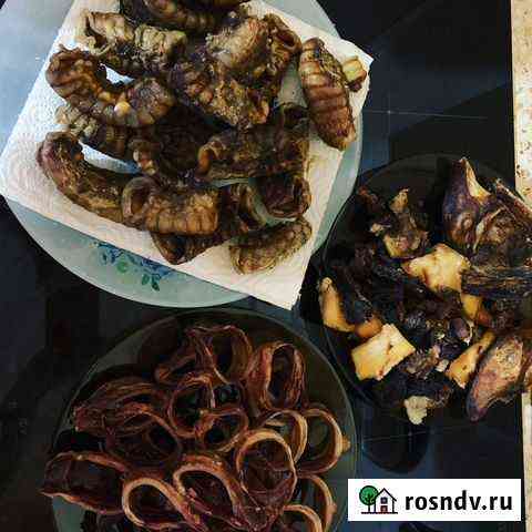 Лакомства для собак Вологда