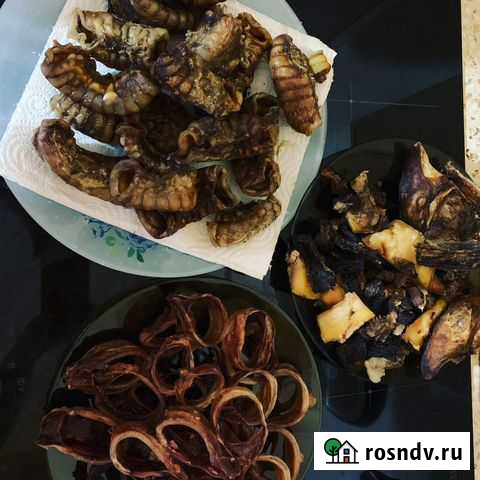 Лакомства для собак Вологда - изображение 1