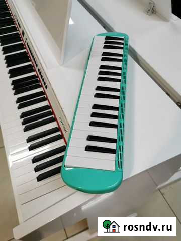 Future Star FF-37 GR Мелодика Новосибирск - изображение 1