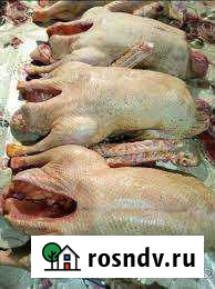 Гусь на новый год Зима - изображение 1