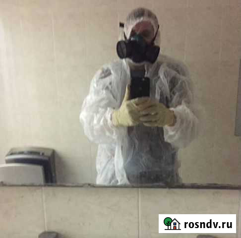Дезинсекция, дезинфекция, уничтожение грызунов. Тр Ростов-на-Дону - изображение 1