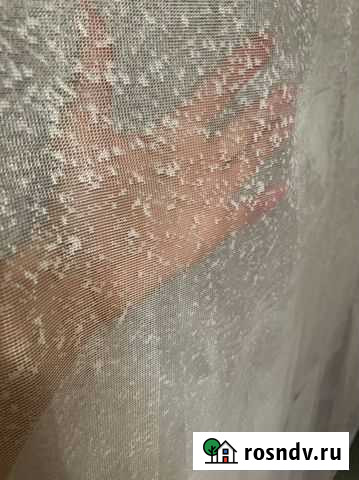 Тюль Санкт-Петербург - изображение 1