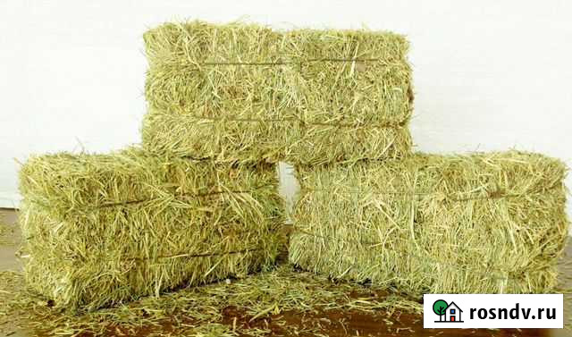 Сено в тюках Новоаннинский - изображение 1
