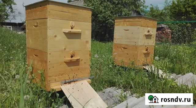 Продается пасека Бохан - изображение 1