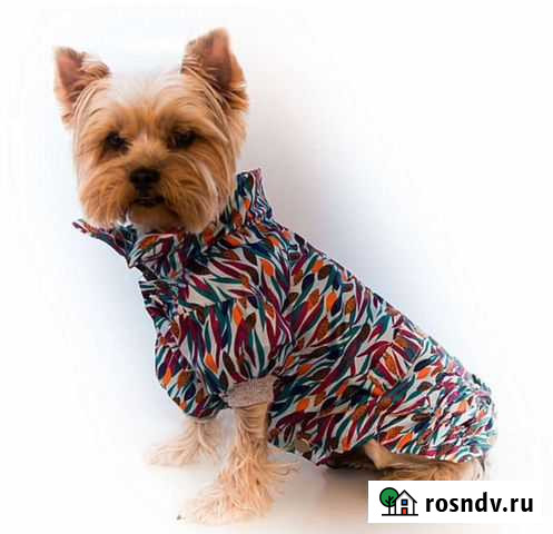 Куртка для Йорка дождевик для собаки Ивантеевка - изображение 1