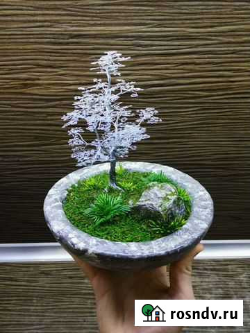 Бонсай искусственный, фрорариум Астрахань - изображение 1