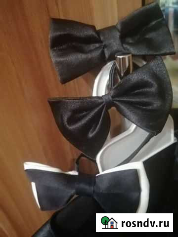 Бабочка Воркута - изображение 1