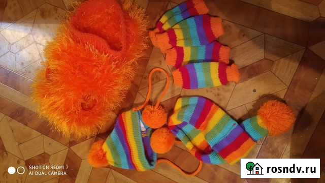 Комплект для собаки Симферополь - изображение 1