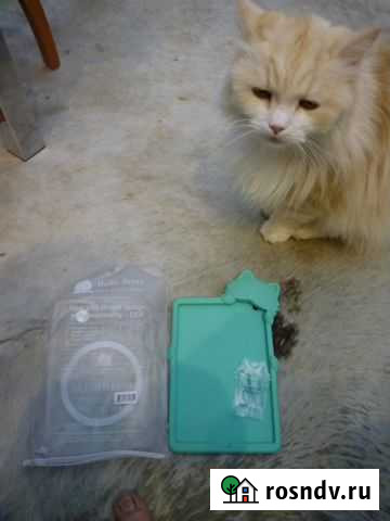 Новый чехол-кошка для iPad mini 2 Реутов - изображение 1