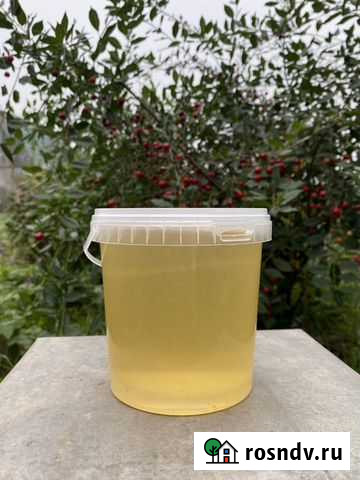 Продам свежий мёд, 2021 Братск - изображение 1