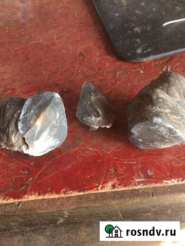 Метеорит Краснохолмский - изображение 1