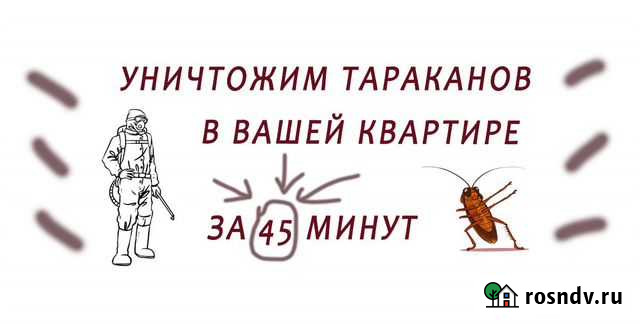 Уничтожение тараканов, клопов / Дезинфекция Хабаровск - изображение 1