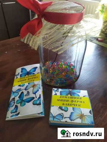 Ферма бабочек Уфа - изображение 1