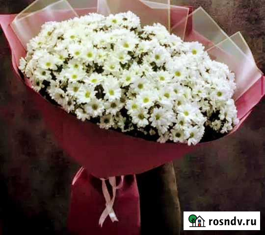 Букет из ромашек Тверь - изображение 1