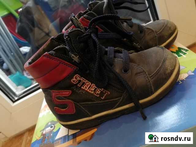 Демисезонные ботинки 24 размера Мурино - изображение 1