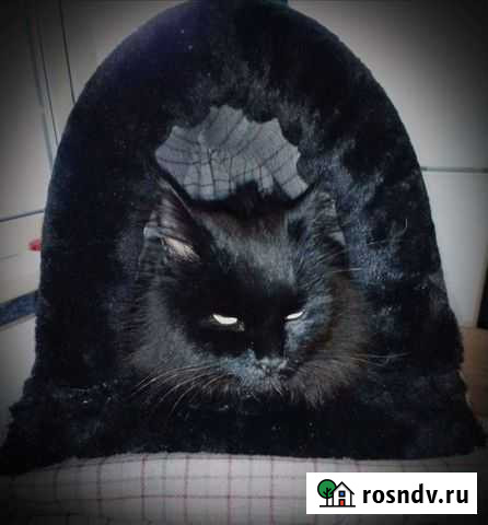 Домик для кошки Горно-Алтайск - изображение 1