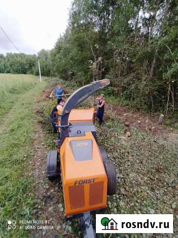 Спил деревьев, веток, кустов. Утилизация древесных Вологда - изображение 1