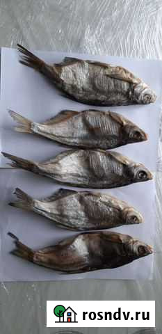 Сопа Астрахань - изображение 1