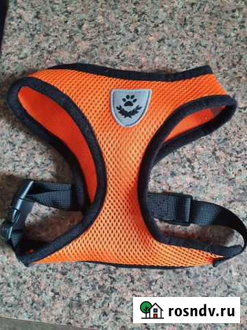 Шлейка для собаки Тольятти - изображение 1