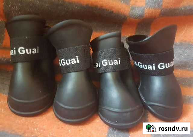 Обувь для собак Войсковицы - изображение 1