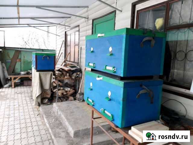 Улей Новоджерелиевская - изображение 1