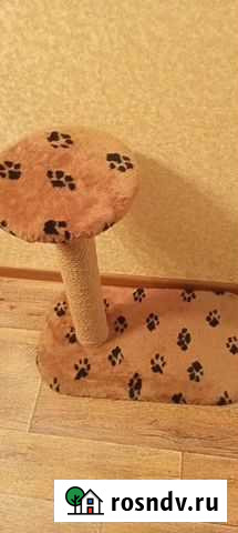 Когтеточка для кошек Кострома - изображение 1