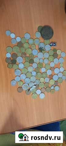 Монеты Сарапул - изображение 1