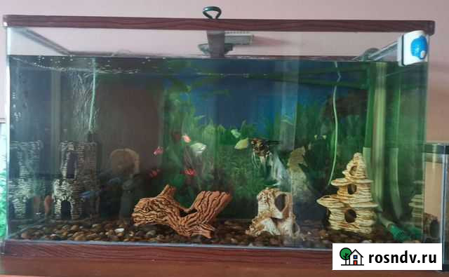 Аквариум Белореченский - изображение 1