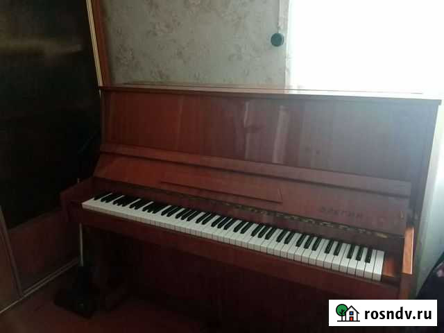 Пианино Петропавловка - изображение 1