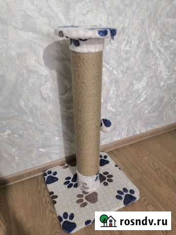 Когтеточка-новая, большая Кострома - изображение 1